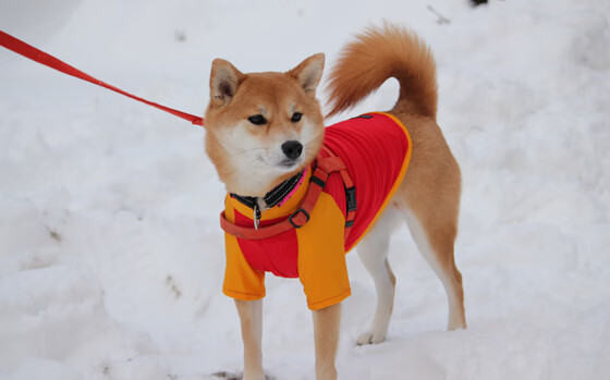 冷棕色的具体色系解析