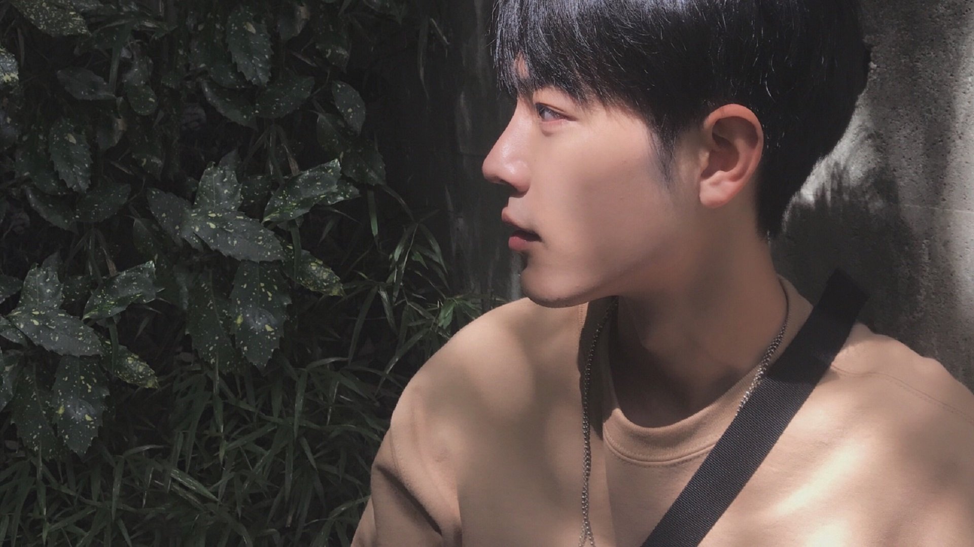 苹果耳机具备哪些实用功能