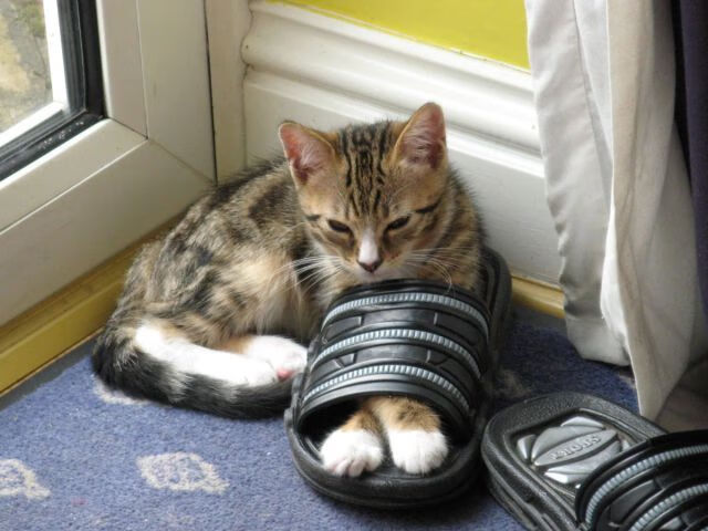 汉服搭配内衣指南