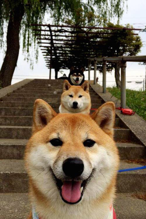 如何办理学生证