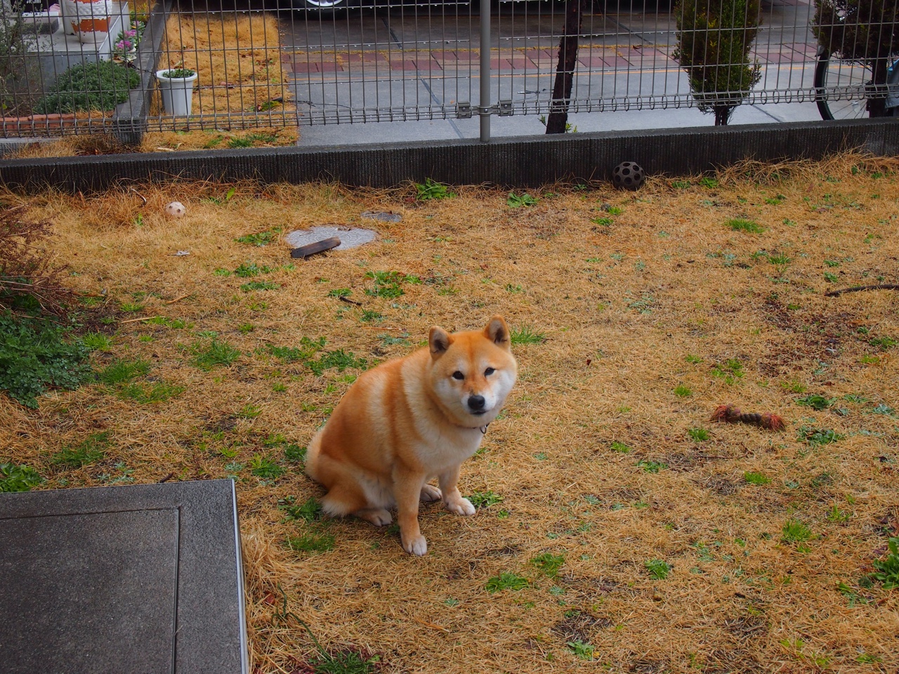 纸张的演变历程