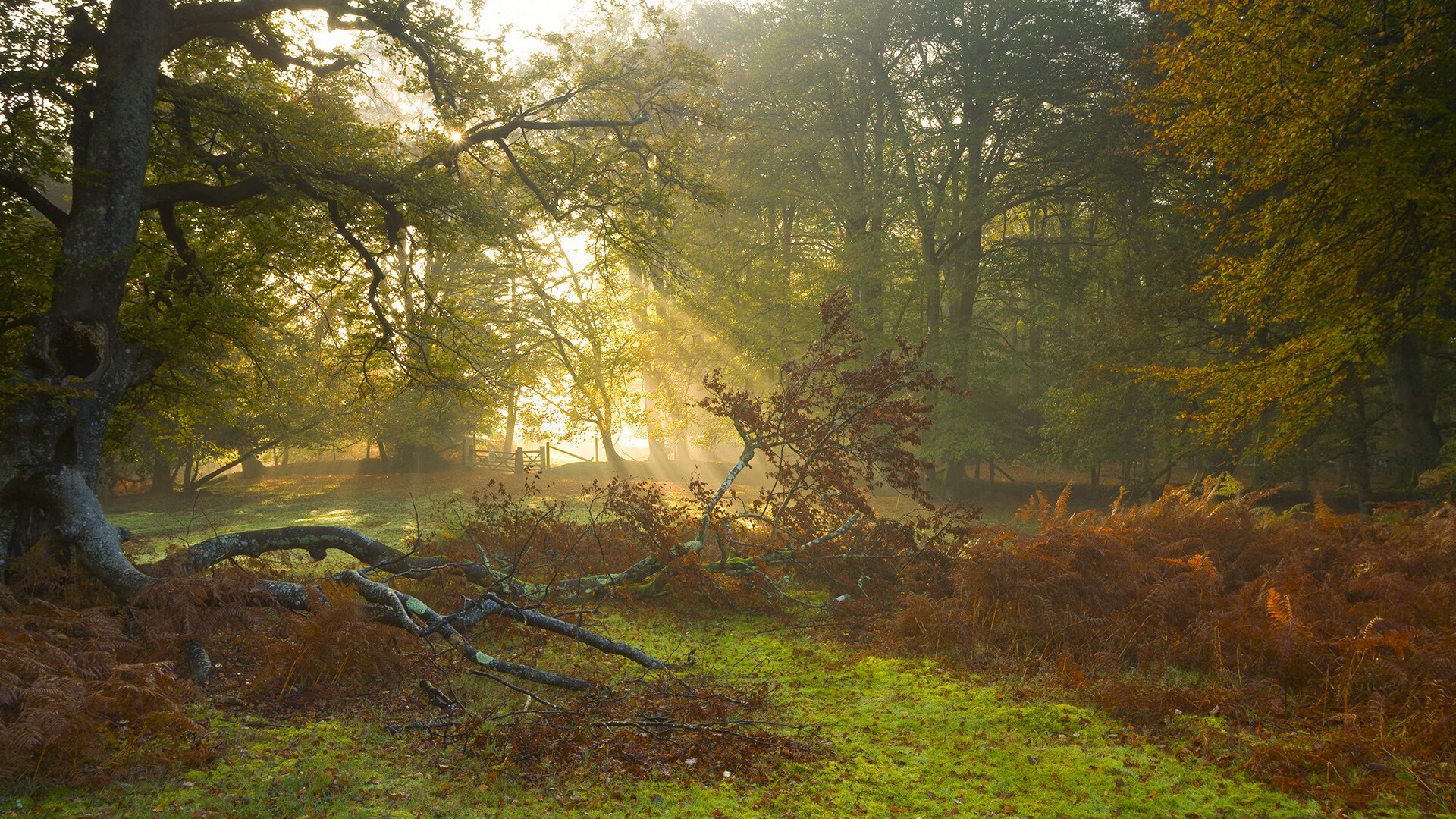 励志正能量语录精选