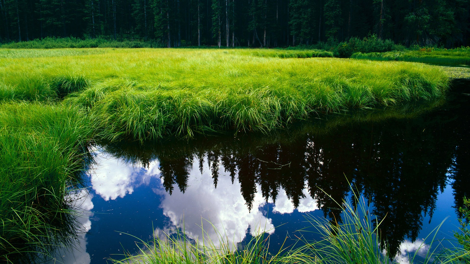 首都师范大学学科竞赛与科技创新实力如何？