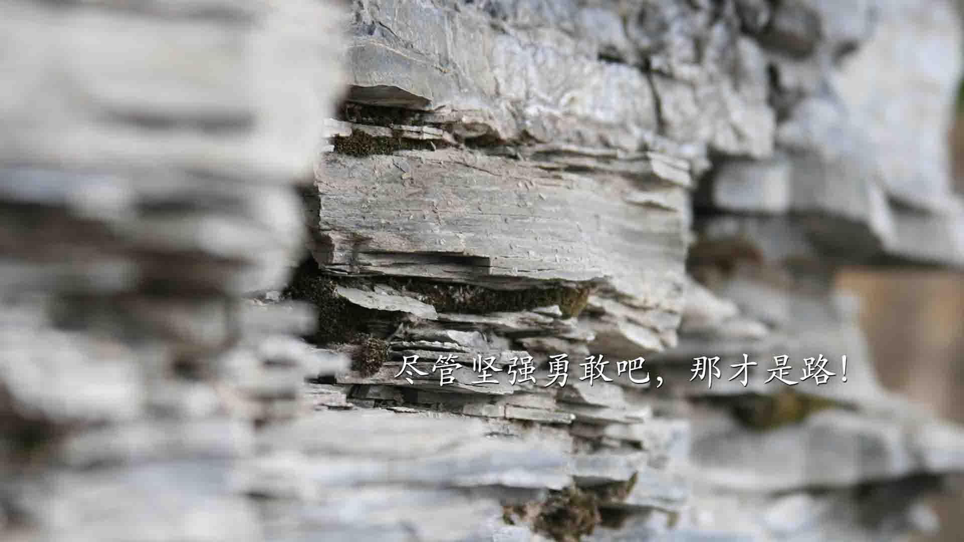 "equipment"是可数名词吗