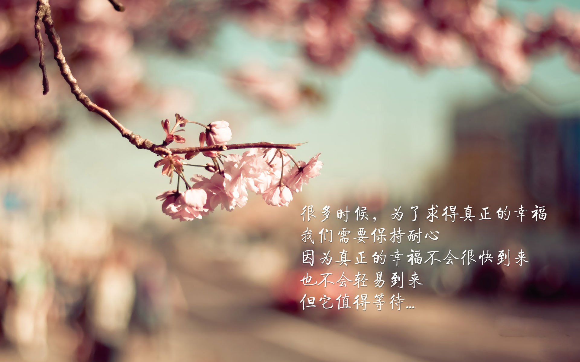 如何搭建养猪大棚