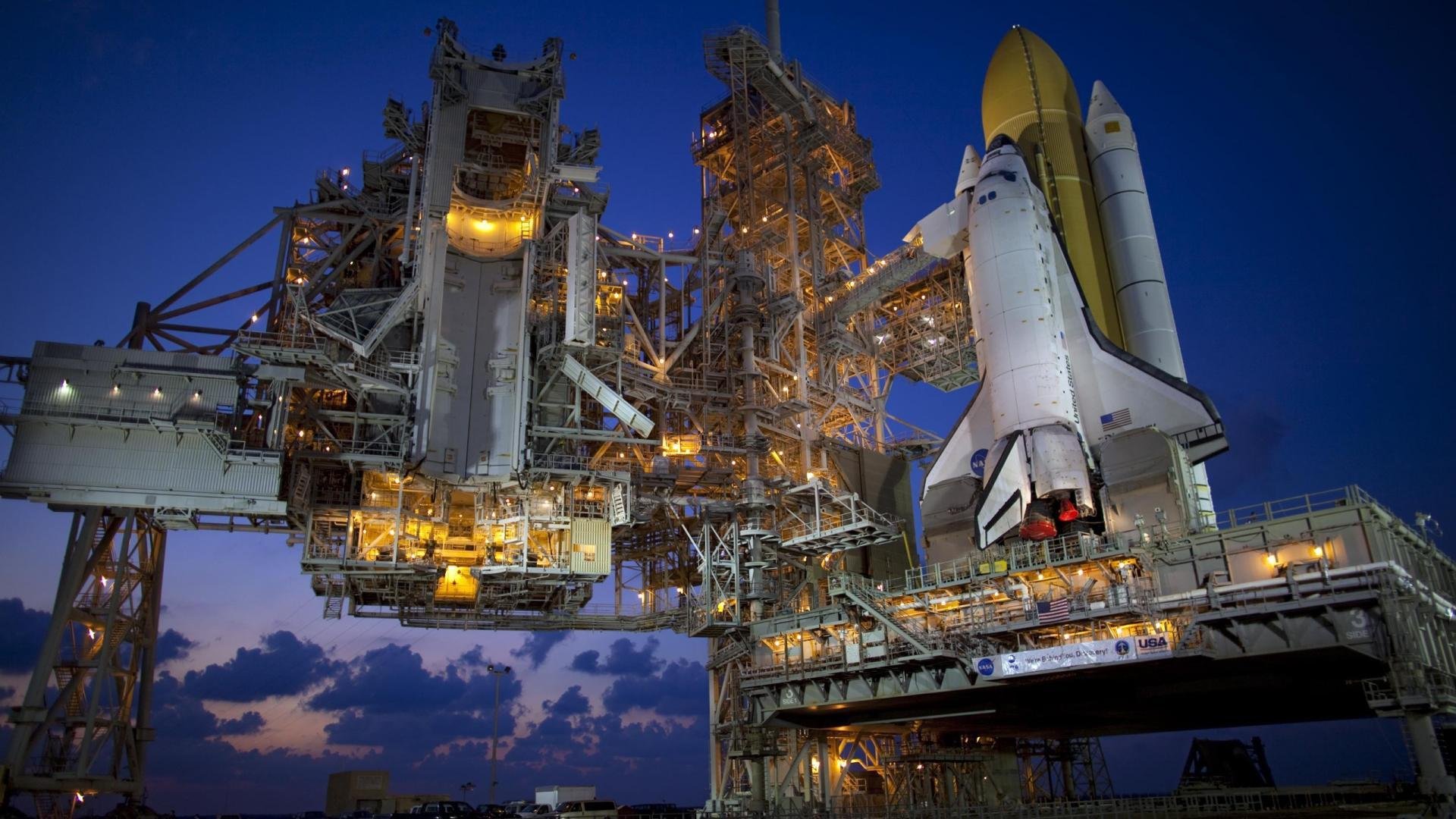 郁金香养护方法指南