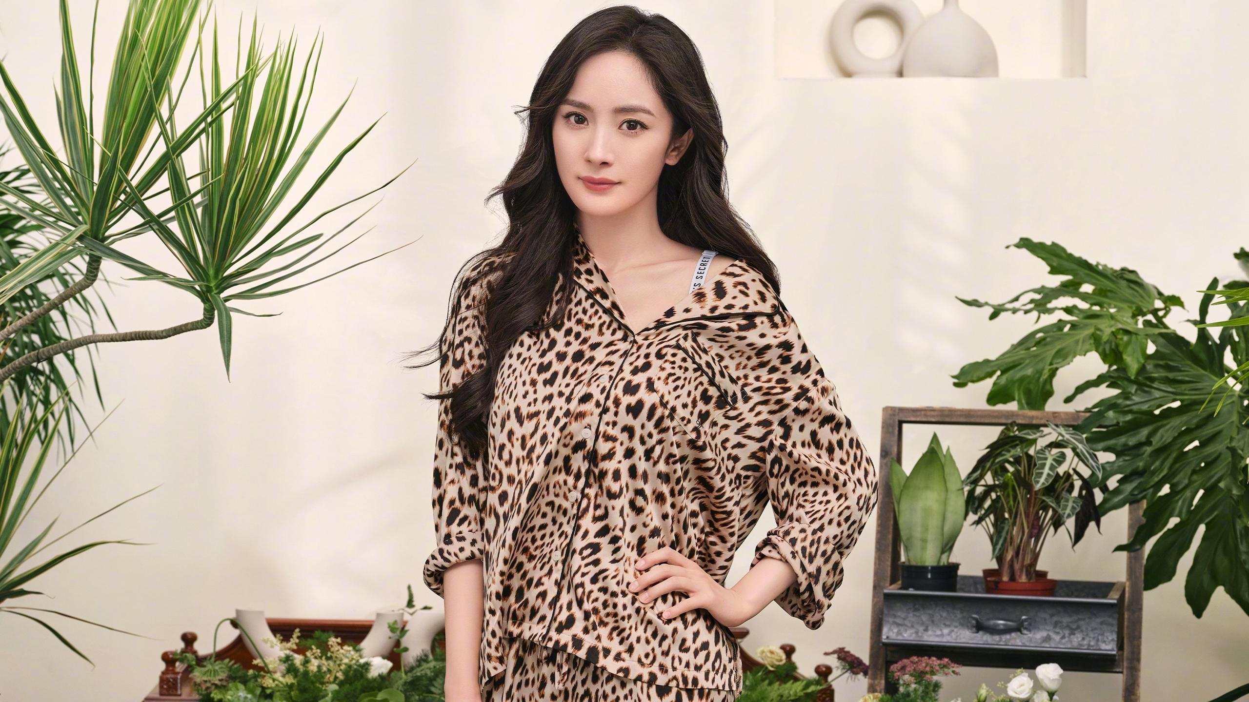 奔驰与戴姆勒的关联解析