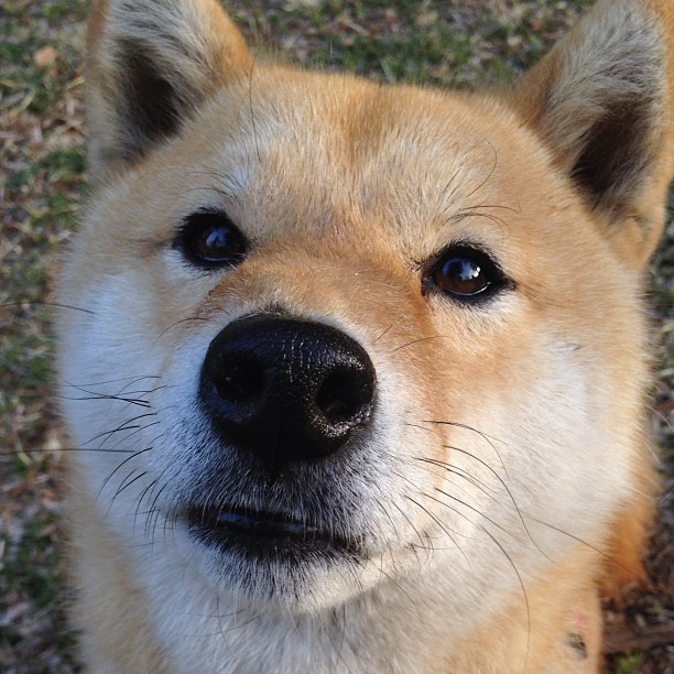 中国十大经典火锅盘点：麻辣鲜香，一锅尽享