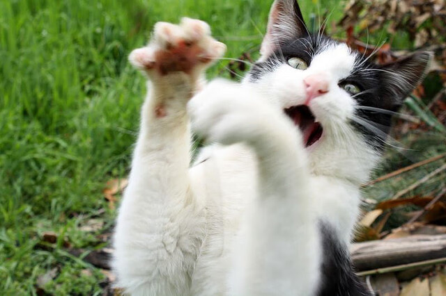 轴向与径向的差异解析