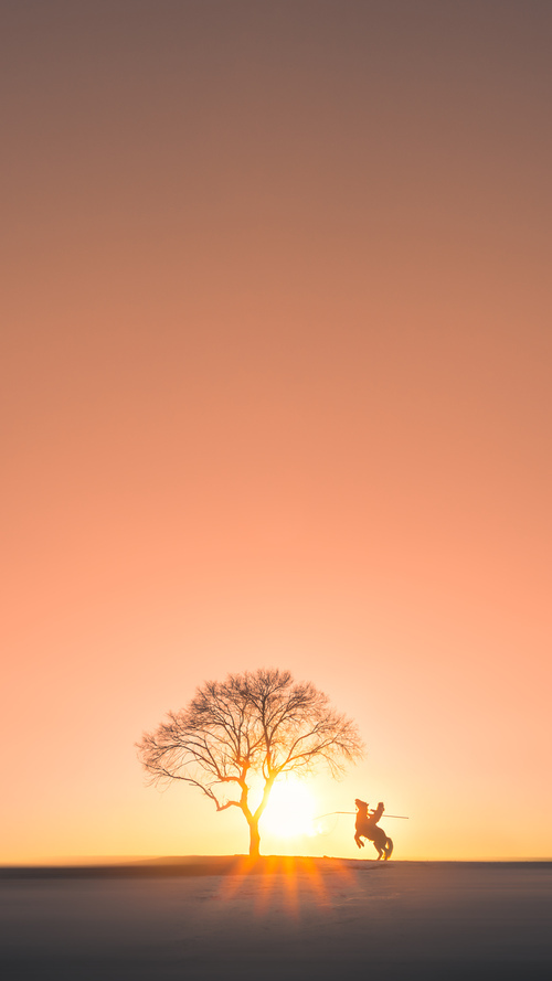 《爸爸去哪儿》第六季播出时间