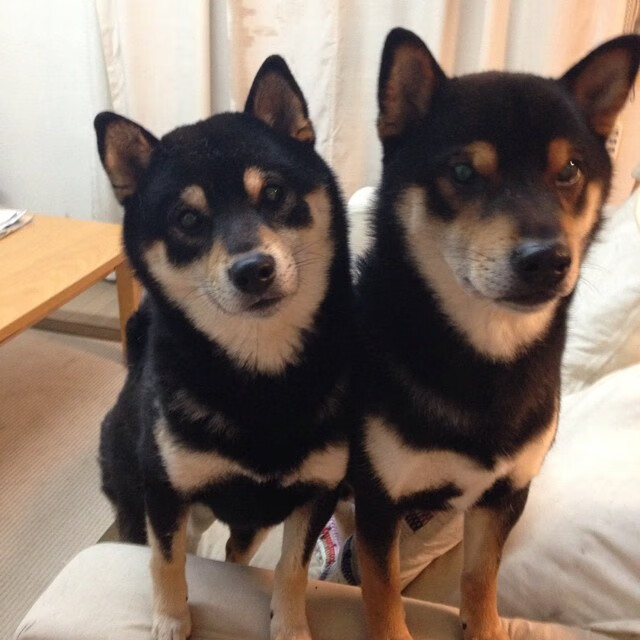 "丸美护肤品适合哪个年龄段的人群使用"