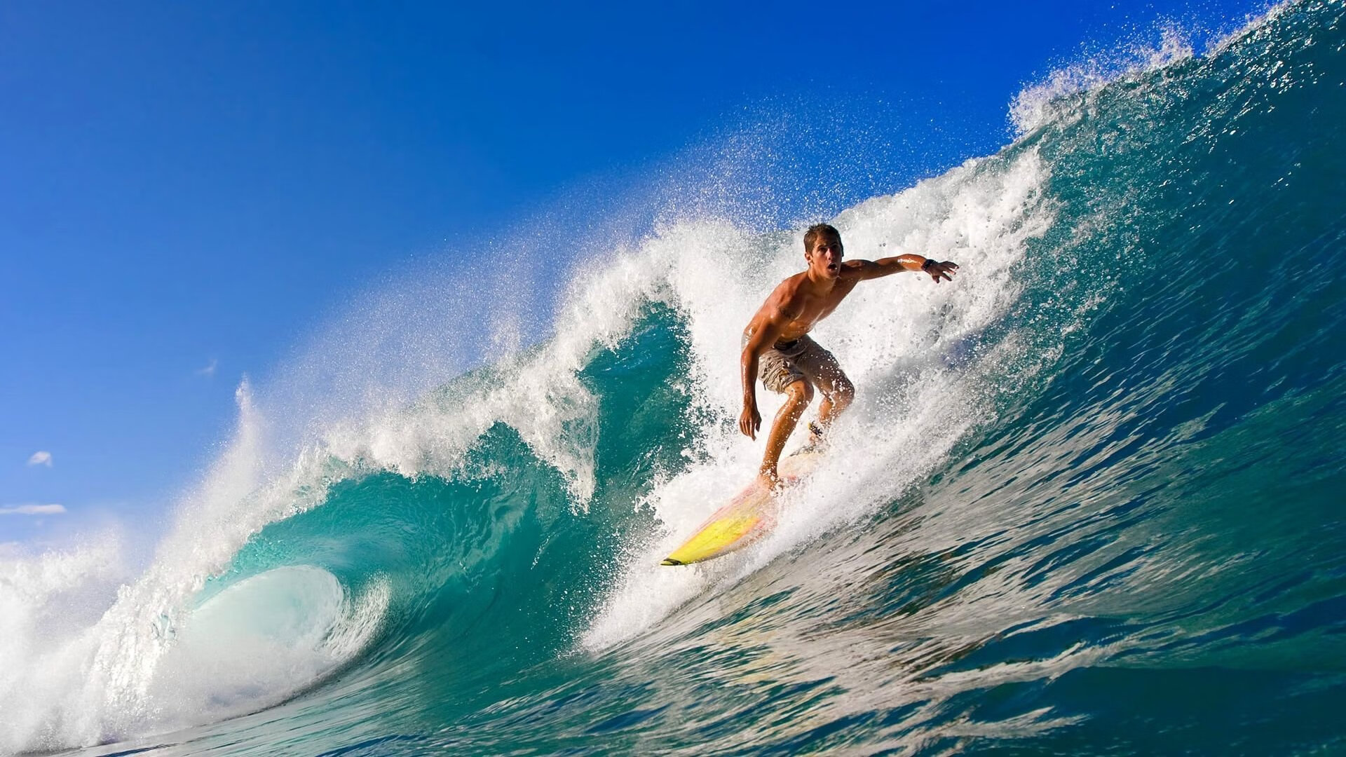 华中农业大学社会实践与社会服务情况如何？