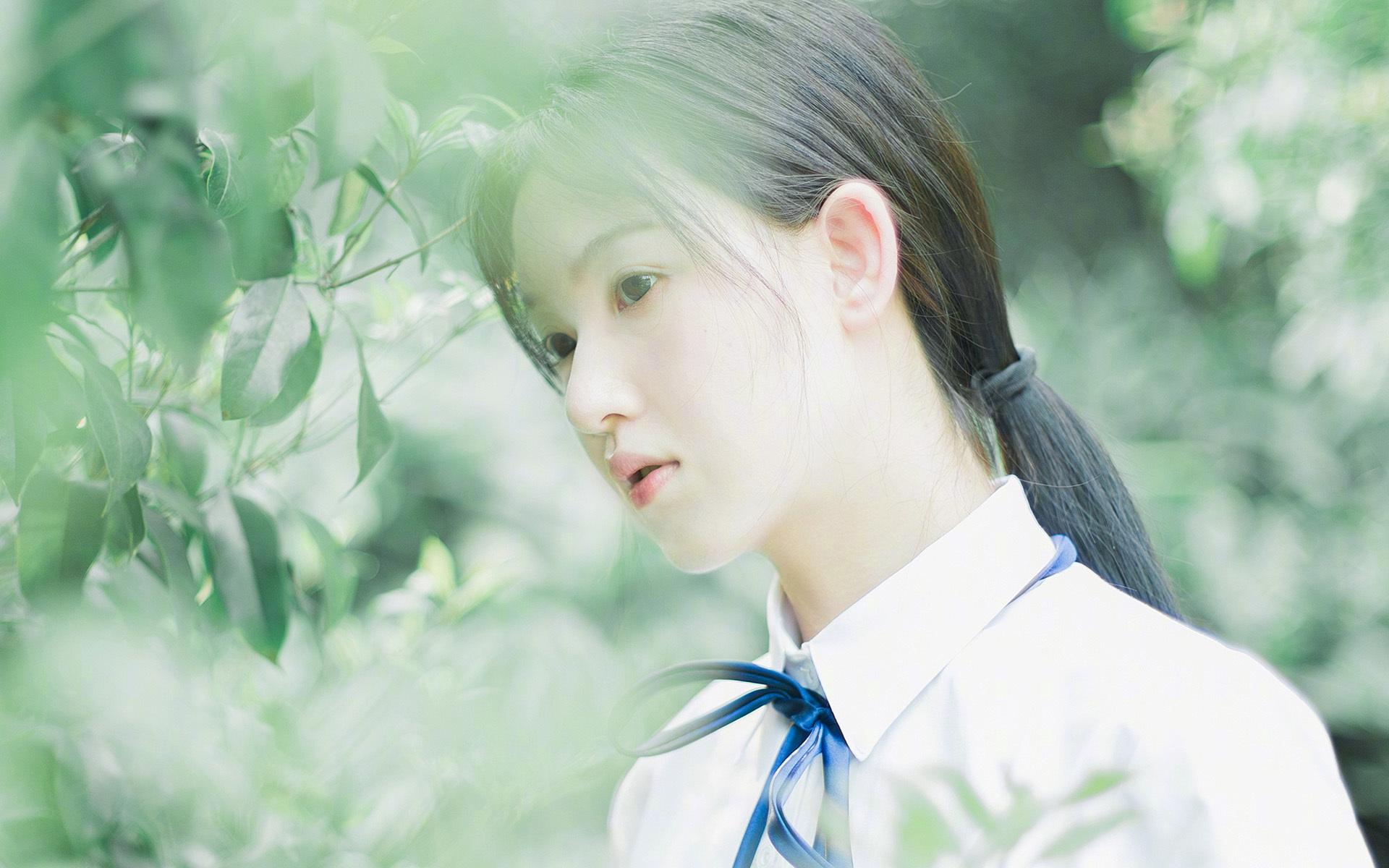 "消失殆尽"的含义解析