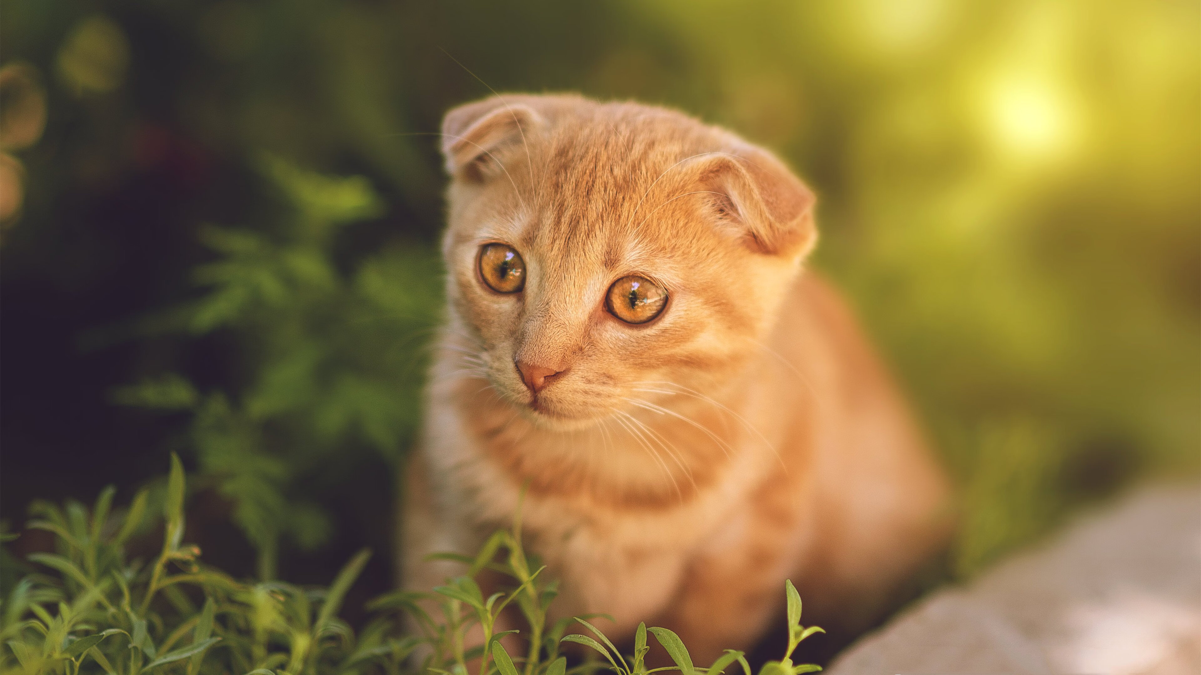 佩戴玉镯的益处与注意事项