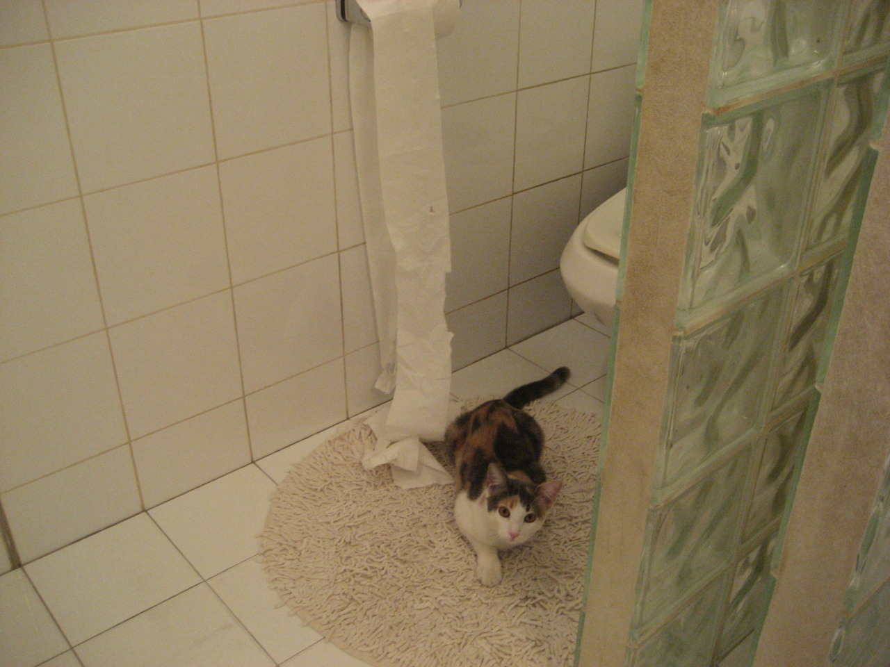 "翘舌音的正确发音方法"